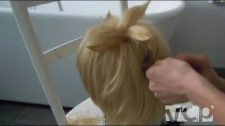 Len Kagamine Wig styling [upl. by Alimaj]