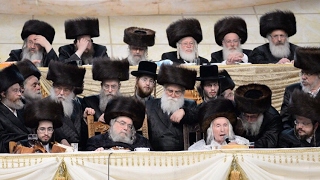 Kaliver Rebbe Sings  Belzer Sheva Brachos [upl. by Mehelhteb787]