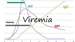 How to Pronounce Viremia [upl. by Oberheim]