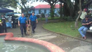 Policia Municipal de San José Costa Rica K9 [upl. by Piegari]