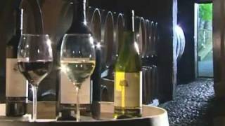 I Vini dei Colli Orientali del Friuli Venezia Giulia  Documentario [upl. by Dodie822]