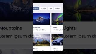 Responsive Filterable Image Gallery javascript javascriptfilter filters webdesign css3animation [upl. by Attiuqram]