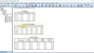 How to calculate Cronbachs alpha with SPSS [upl. by Aramoy]