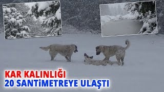 Uludağ Yoğun Kar ve Tipiye Teslim [upl. by Eeleimaj]