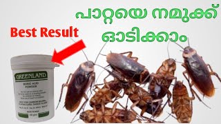 How to kill cockroaches with Boric acid powder MalayalamGeos Family Vlogs  13 [upl. by Cazzie]