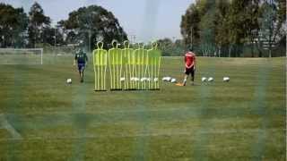 Alessandro Del Piero practises his free kicks Again and again and again [upl. by Oirevas88]