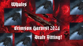 SUB 100M Drake Fitting  Crimson Gauntlet  Alpha Friendly  Beginner Guide [upl. by Tilla473]