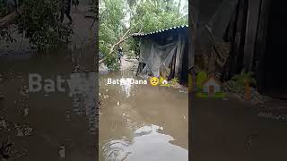 Batya Dana house 🏠 tree 🌲 water 🌊💦youtubeshorts batya dana viralvideo [upl. by Boiney257]