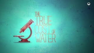 Veolia  True Cost of Water [upl. by Owiat]