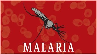 Malaria [upl. by Sinnoda]