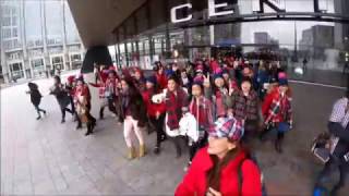 Flashmob Ahok Djarot Belanda  part 1 Rotterdam 5 Feb 2017 [upl. by Nauqan459]