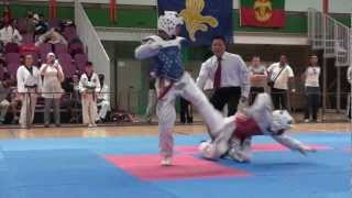 Suli San Taekwondo 20112012 [upl. by Perdita]