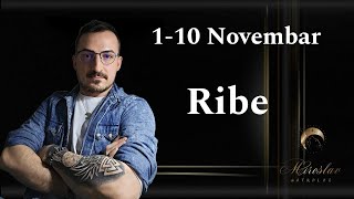 RIBE 1  10 NOVEMBAR [upl. by Elberfeld]