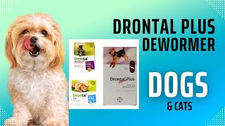 How to Deworm your Dog for Tapeworms using Drontal Plus and Best place to Purchase [upl. by Saberhagen]