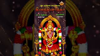 Dina Tantinam  தின தந்தினம்  B Balaram  Iva Adugiral Pambarampol SVDTamilSangamam [upl. by Aerdied]