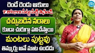 ఒక్క ఆకు చాలు నరాలన్నీ జెట్ స్పీడ్ తో పనిచేస్తాయి  Nerve Weakness  Aruna Devi  iD Health Care [upl. by Arlinda]