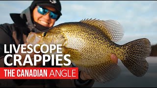 Ice Fishing for Jumbo Crappie  The Canadian Angle [upl. by Gilletta845]