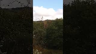 View of Rivington pike from near Liverpool castle Rivington UK wild nature countryside outdoors [upl. by Eldreda161]