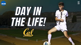 A Day In The Life Of A Division 1 Soccer Player  UC Berkeley [upl. by Adnilreb349]