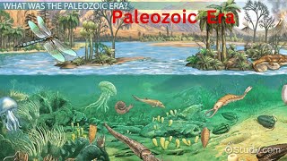 Paleozoic era CambriaPeriod OrdovicianPeriod SilurianDevonian Carboniferous tetrapods [upl. by Deming]