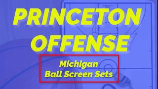 Michigan Ball Screen Sets [upl. by Lapointe]