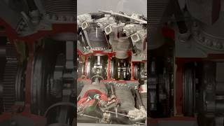 Pratt amp Whitney R4360 Radial Engine AviationHistory AircraftEngines [upl. by Amiaj]