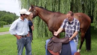 How to do a proper Saddle Fitting for you and your horse [upl. by Beau]