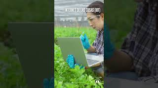 ¿Qué tecnologías y herramientas se utilizan en la agricultura 40 [upl. by Anairad]