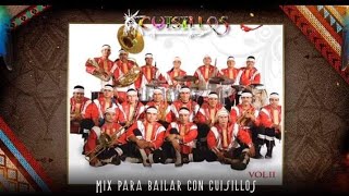 Banda Cuisillos Mix Cumbias Viejitas  Para Bailar Con La Tribu [upl. by Leanora4]