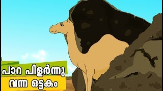 പാറ പിളർന്നു വന്ന ഒട്ടകം Quran Stories Malayalam  Prophet Stories Malayalam  Use of education [upl. by Sulohcin]