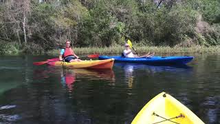 Kayaking at Rainbow Springs State Park [upl. by Nanine]