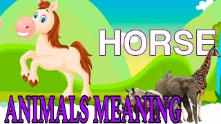 Animals name  animals meaning \ animals cartoon video  kids for cartoon video new 2025 [upl. by Anillek]