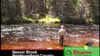 6 Tuckamore lodge Newfoundland with Glen amp Peter Ferguson [upl. by Hniht]