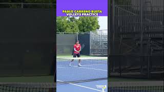 CARRENO BUSTA VOLLEY SKILLS tennis shorts [upl. by Drice]