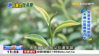 盛夏來杯鐵觀音 貓空茶山赫赫有「茗」 《海峽拼經濟》 [upl. by Norha]