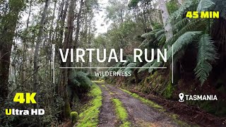 Virtual Run Wilderness Trail 4K  Virtual Running Treadmill Workout  Virtual Scenery  Tasmania [upl. by Kella382]