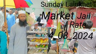 Sunday Lalukhet Market Farhan Birds Youtube Channel [upl. by Survance491]