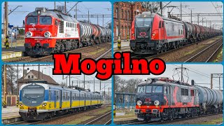 Pociągi Mogilno [upl. by Ennairrek]