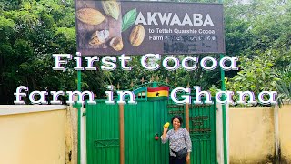 Tetteh Quarshie’s Cocoa Farm  Mampon Aburi  Ghana 🇬🇭 [upl. by Fisoi]