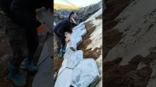 Working day 776 The process of installing hexagonal bricks on a slope [upl. by Hamil]