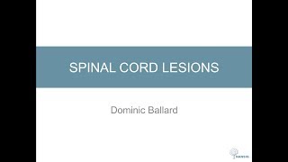 Spinal Cord Lesions [upl. by Amisoc]