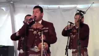 Mariachi los Camperos Richmond Folk Festival 2014 2 La Malaguena [upl. by Gwenneth]