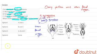 Consider the following statements A Mustard flower is hypogynous B Rose flower [upl. by Aman]