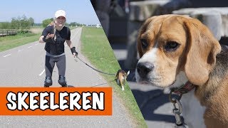 SKEELEREN MET MATZY  DierenpraatTV [upl. by Valerle249]