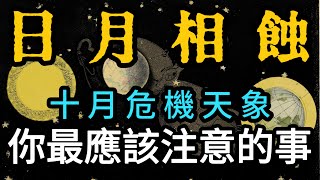 💥風險規避預測：所有12星座的運勢，必看的注意事項占卜！ 這些事情你必須提前知道！ 太陽星座上升星座月亮星座全預測 [upl. by Draillih970]