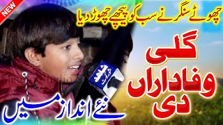 Gali Wafa Daran Di  Haider Mansoor Malangi  Live Programe  Shahid Studio Shorkot [upl. by Akenna308]