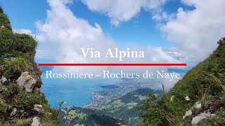 Hiking the Via Alpina19Rossiniere  Rochers de NayeSwitzerland 4k [upl. by Amuwkuhc]