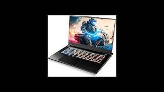 Review Gentech Clevo X370SNVG RTX 4080 Gaming Laptop [upl. by Dorrahs]