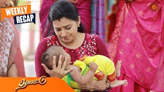 Thalattu  Weekly Recap  19 June 2023  24 June 2023  Sun TV  Tamil Serial [upl. by Akceber]