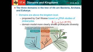 174 domains and kingdoms [upl. by Jayson]